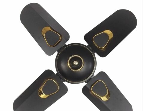 Wintex Ceiling Fan 24-Inch ? 4 Blades ? Black with Gold Design ? 220V
